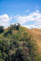 ta nang - phan letame itinerario con pietra miliare fra 3 province attraverso erba colline e foreste nel canzone mao natura Riserva foto