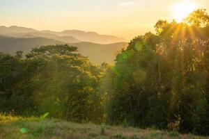 ta nang - phan letame itinerario con pietra miliare fra 3 province attraverso erba colline e foreste nel canzone mao natura Riserva foto