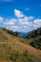 ta nang - phan letame itinerario con pietra miliare fra 3 province attraverso erba colline e foreste nel canzone mao natura Riserva foto