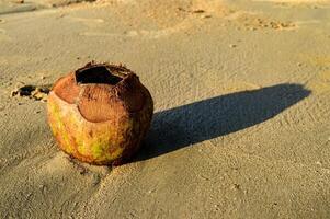 un' rifiuto di Usato potabile noci di cocco con il superiore Aperto dire bugie su il spiaggia sabbia a crepuscolo foto