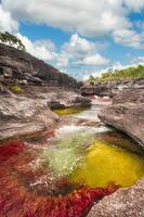 cano cristalli è un' fiume nel Colombia quello è collocato nel il sierra de la macarena, nel il Dipartimento di meta. esso è considerato di molti come il maggior parte bellissimo fiume nel il mondo foto