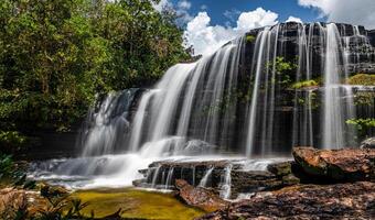 cano cristalli è un' fiume nel Colombia quello è collocato nel il sierra de la macarena, nel il Dipartimento di meta. esso è considerato di molti come il maggior parte bellissimo fiume nel il mondo foto