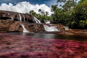 cano cristalli è un' fiume nel Colombia quello è collocato nel il sierra de la macarena, nel il Dipartimento di meta. esso è considerato di molti come il maggior parte bellissimo fiume nel il mondo foto