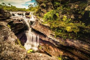 cano cristalli è un' fiume nel Colombia quello è collocato nel il sierra de la macarena, nel il Dipartimento di meta. esso è considerato di molti come il maggior parte bellissimo fiume nel il mondo foto