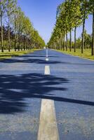 blu bicicletta strada o bicicletta sentiero nel il parco. salutare stile di vita sfondo foto