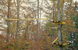 corda ponte nel avventura cima dell'albero parco per albero arrampicata e sport, arborismo o accrobranche corde corsi, cerniera lampo fili all'aperto foto