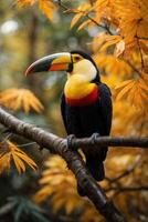 ai generato tucano su ramo nel buio e arancia toni foto