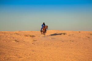 Locale persone su cavalli, nel il famoso Saraha deserto,douz,tunisia foto