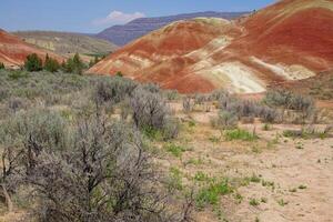 striato rosso e Marrone paleosoli nel il dipinto colline foto