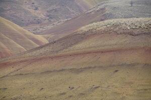 striato rosso e Marrone paleosoli nel il dipinto colline foto