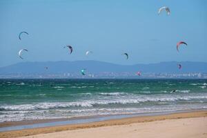kiteboarding kitesurf kiteboarder kitesurfer aquiloni su il oceano spiaggia foto