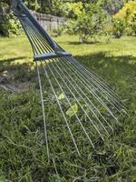 regolabile filo cortile rastrello su verde Giardino dietro la casa prato foto