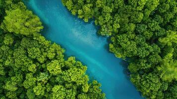 ai generato aereo Visualizza di un' fiume avvolgimento attraverso il lussureggiante verde foresta di tuchola naturale parco, in mostra della natura la tranquillità. ai generato. foto