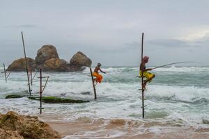 koggala - sri lanka - 09-agosto-2019 - gruppo di Locale pescatore fare trampolo pesca su il spiaggia. il pescatori sedersi su un' attraversare bar e aspetta fino a un' pesce arriva lungo per essere catturato. foto