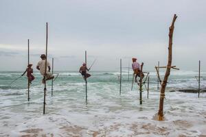 koggala - sri lanka - 09-agosto-2019 - gruppo di Locale pescatore fare trampolo pesca su il spiaggia. il pescatori sedersi su un' attraversare bar e aspetta fino a un' pesce arriva lungo per essere catturato. foto