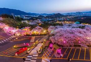 notte Visualizza di ciliegia fiorire Festival a daegu e-world.daegu, sud Corea. foto