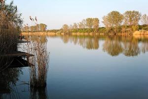 bellissimo reedin il lago a autunno con riflessi foto