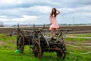 un' giovane agricoltori moglie nel un' rosa vestito sta su un' cavallo trailer foto