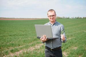 contadino in piedi nel un' Grano campo e guardare a computer portatile, siamo l'esame corp. giovane bello agronomo. agribusiness concetto. agricolo ingegnere in piedi nel un' Grano campo foto