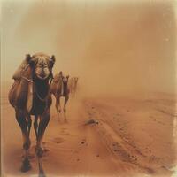ai generato cammello caravan attraverso il sahara deserto nel un' sabbia storm.generative ai foto
