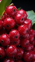 ai generato uva spina cibo salutare biologico rosso frutta foto