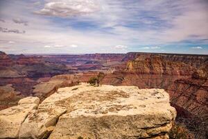 grande Visualizza di il mille dollari canyon nazionale parco, Arizona, unito stati. California deserto. foto