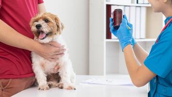 veterinario raccomanda tonici cane proprietario Aiuto nutrire corpo dopo annuale Salute visita medica ricerca per malattie Maggio si verificano con animali domestici. annuale Salute visita medica concetti per animali domestici e tonici veterinari foto