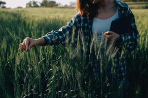 inteligente azienda agricola. contadino con tavoletta nel il campo. agricoltura, giardinaggio o ecologia concetto. raccolta. agro attività commerciale. foto