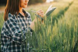 inteligente azienda agricola. contadino con tavoletta nel il campo. agricoltura, giardinaggio o ecologia concetto. raccolta. agro attività commerciale. foto