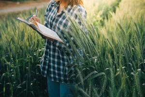 inteligente azienda agricola. contadino con tavoletta nel il campo. agricoltura, giardinaggio o ecologia concetto. raccolta. agro attività commerciale. foto