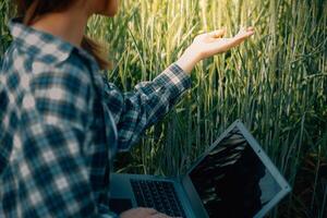 inteligente azienda agricola. contadino con tavoletta nel il campo. agricoltura, giardinaggio o ecologia concetto. raccolta. agro attività commerciale. foto