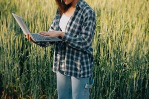 inteligente azienda agricola. contadino con tavoletta nel il campo. agricoltura, giardinaggio o ecologia concetto. raccolta. agro attività commerciale. foto