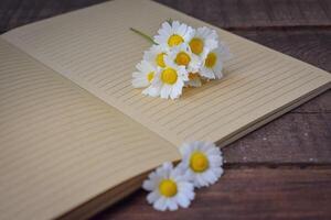 libro e margherite fiore su di legno sfondo foto
