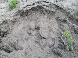 coperto di vegetazione mucchio di sporco con erba foto