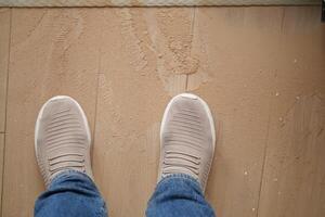 polvere nad sporco su un' di legno pavimento, foto