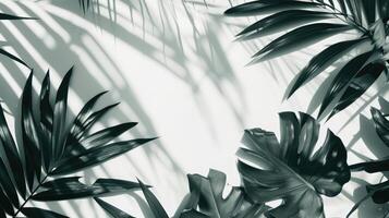 ai generato palma le foglie con spazio su bianca sfondo foto