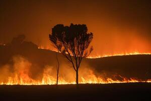 ai generato veloce diffusione incendi boschivi depict clima i cambiamenti ecologico impatti foto