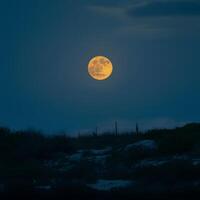 ai generato foto di scorta pieno Luna si illumina il buio con suo misterioso giallo splendore per sociale media inviare dimensione