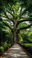 ai generato Bangkok parco vanta grande albero e pittoresco passerella verticale mobile sfondo foto