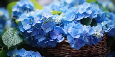 ai generato blu ortensie nel un' cestino avvicinamento, fiori. generativo ai foto