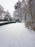 inverno su il sobborgi di stoccolma foto