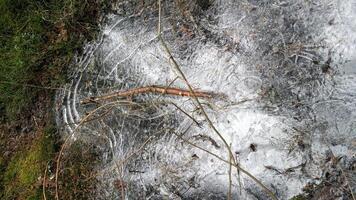 acquerello che rappresentano ghiaccio nel il nord di Svezia foto