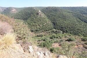 paesaggio nel il montagne nel settentrionale Israele. foto