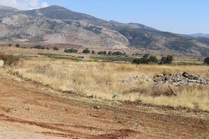 paesaggio nel il montagne nel settentrionale Israele. foto