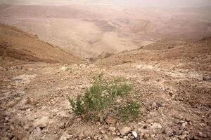 il negev è un' deserto nel il mezzo est, collocato nel Israele e occupante di 60 di suo territorio. foto