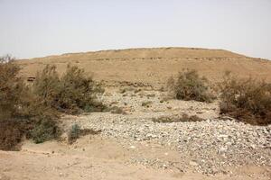 il negev è un' deserto nel il mezzo est, collocato nel Israele e occupante di 60 di suo territorio. foto