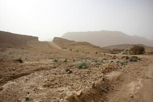 il negev è un' deserto nel il mezzo est, collocato nel Israele e occupante di 60 di suo territorio. foto