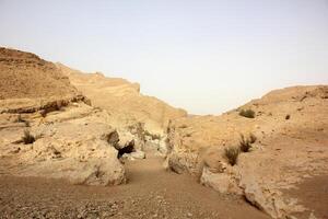 il negev è un' deserto nel il mezzo est, collocato nel Israele e occupante di 60 di suo territorio. foto