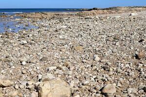 pietre e conchiglie su il riva di il mediterraneo mare. foto