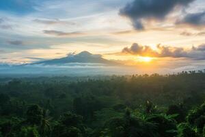 foto Alba al di sopra di bali giungla